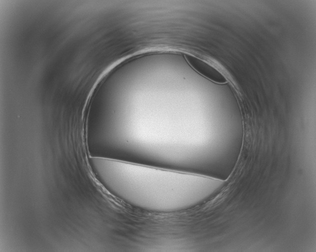 X0000057081004200509090908