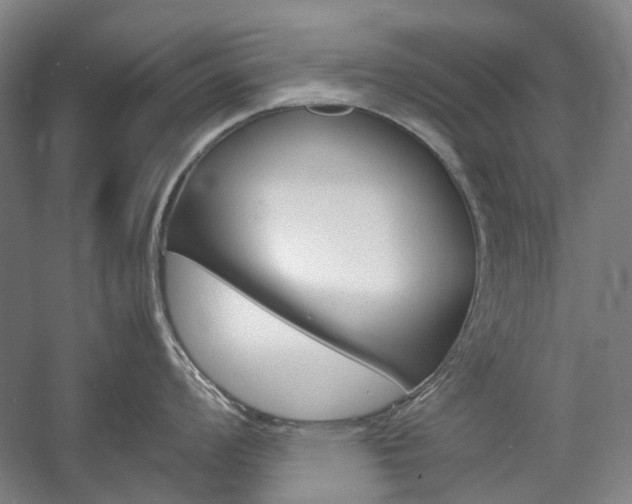 X0000057081008200509090908