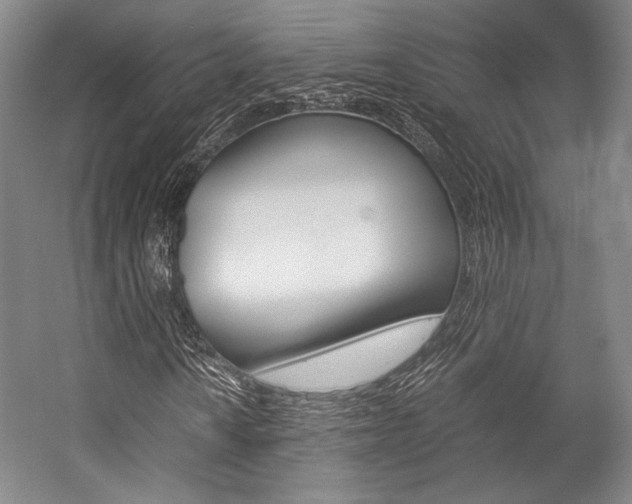 X0000057081010200509090907
