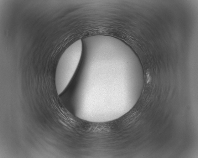 X0000057081011200509090907