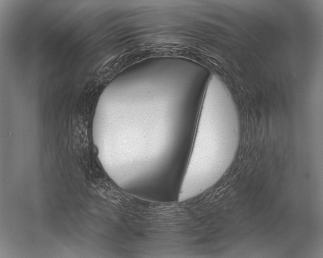 X0000057081013200509090907