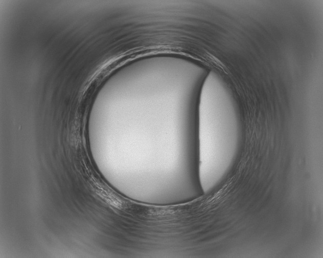 X0000057081019200509090907