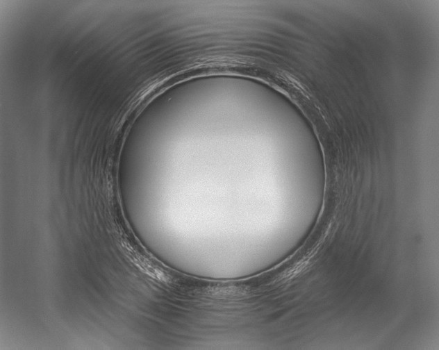 X0000057081025200509090907
