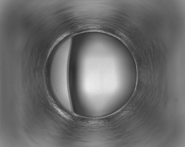 X0000057081026200509090907