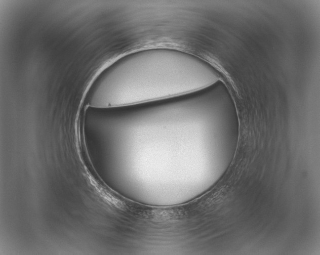 X0000057081032200509090907