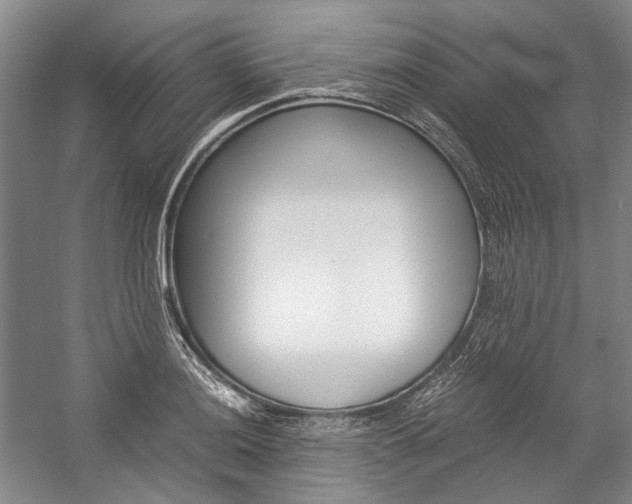 X0000057081036200509090907