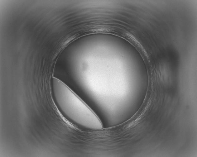 X0000057081041200509090907