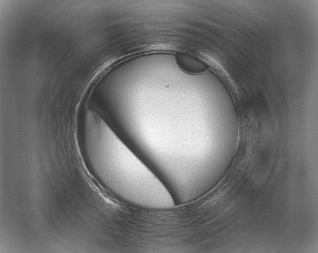 X0000057081043200509090907