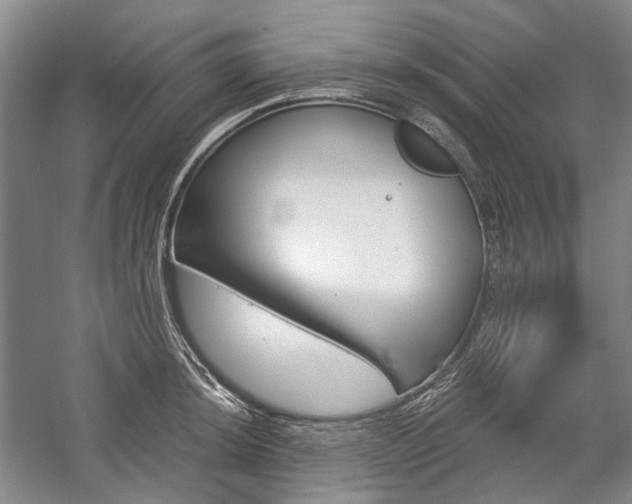 X0000057081044200509090907