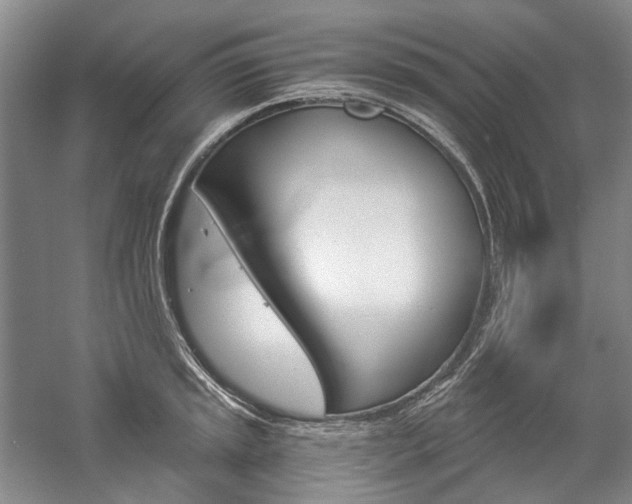 X0000057081045200509090907