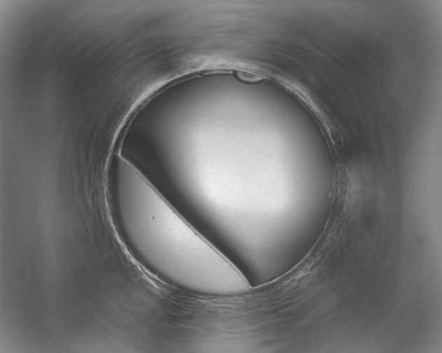 X0000057081048200509090907