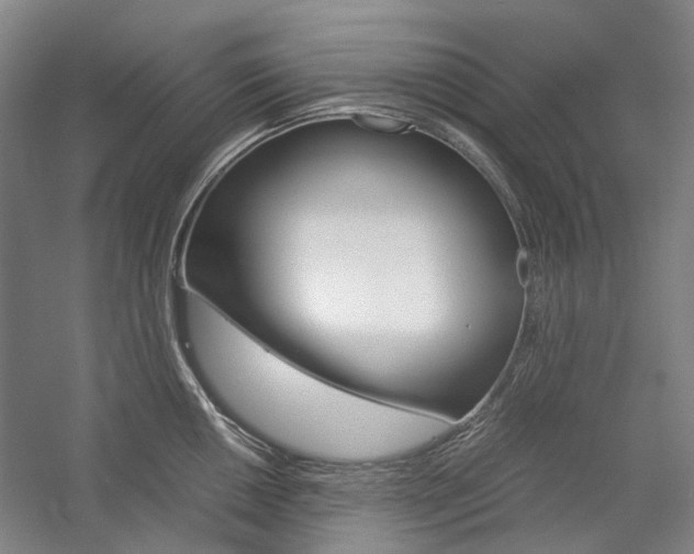 X0000057081050200509090907
