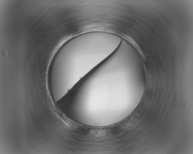 X0000057081051200509090907