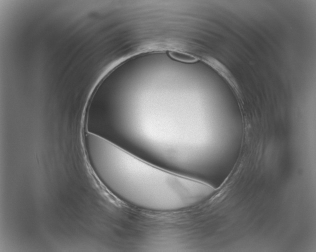 X0000057081052200509090907
