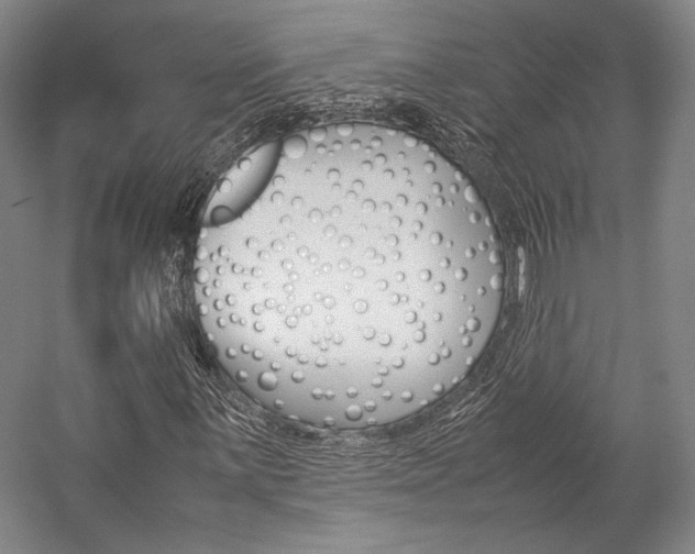 X0000057081059200509090907