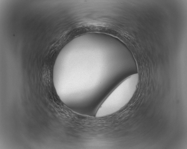 X0000057081061200509090907