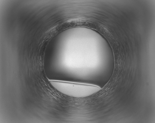 X0000057081062200509090907