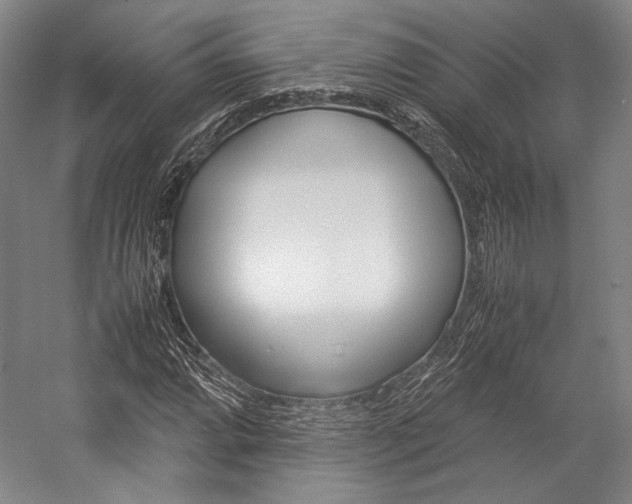 X0000057081064200509090907
