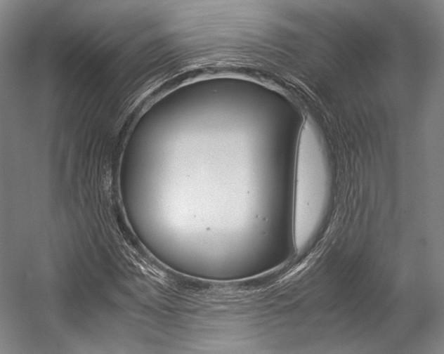 X0000057081065200509090907