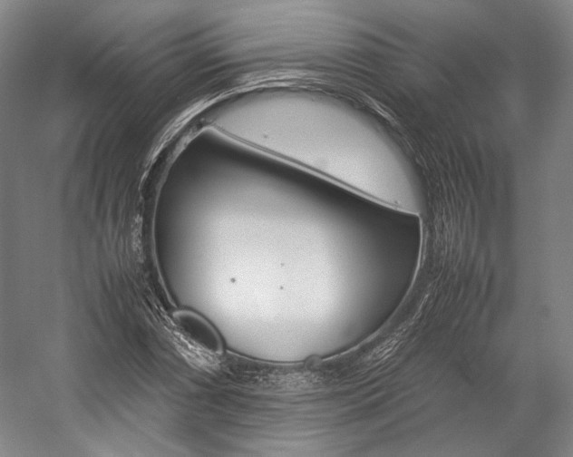 X0000057081066200509090907