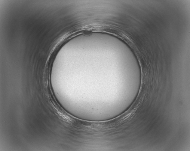 X0000057081075200509090906