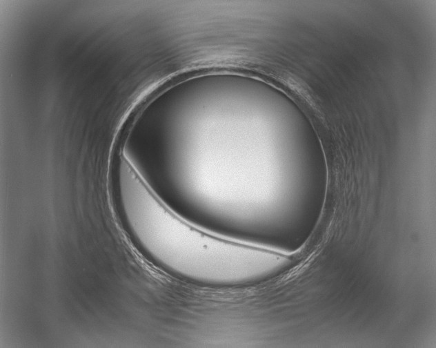 X0000057081077200509090906