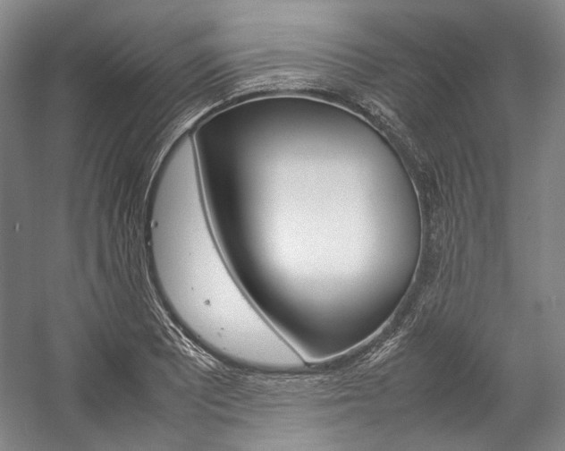 X0000057081081200509090906