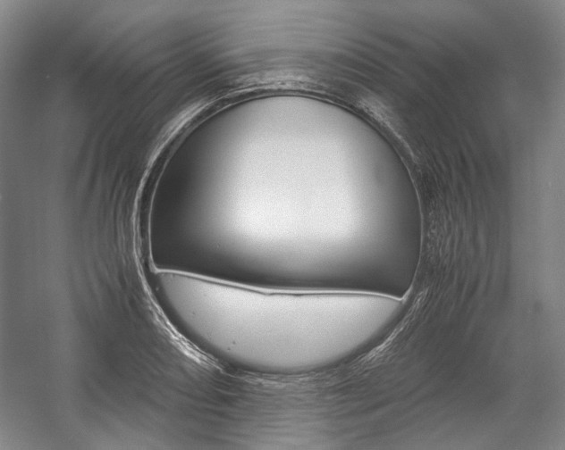 X0000057081082200509090906