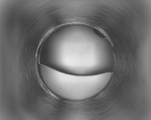 X0000057081096200509090906