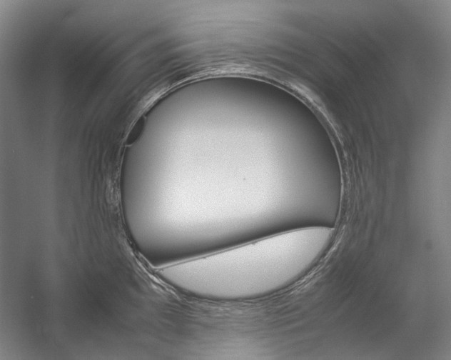 X0000057081097200509090906