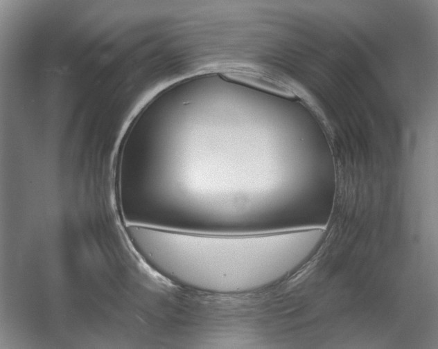 X0000057081102200509090906