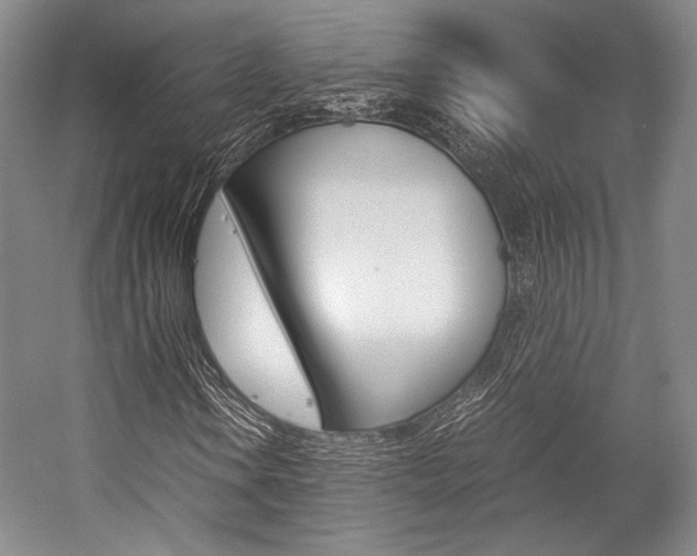 X0000057081106200509090905