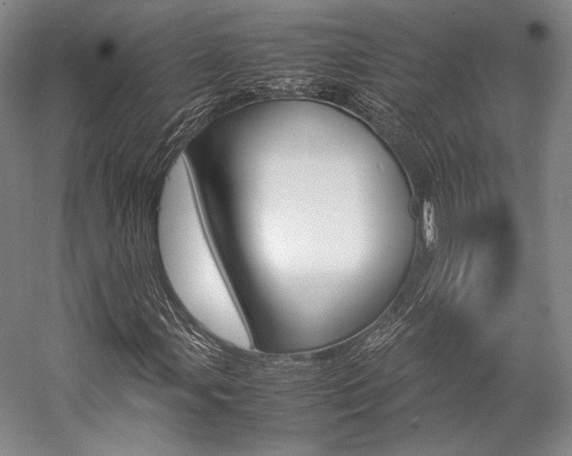 X0000057081107200509090905