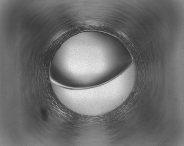 X0000057081112200509090905