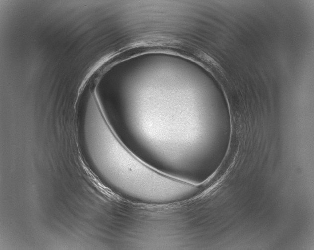 X0000057081114200509090905