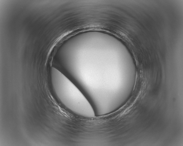 X0000057081117200509090905