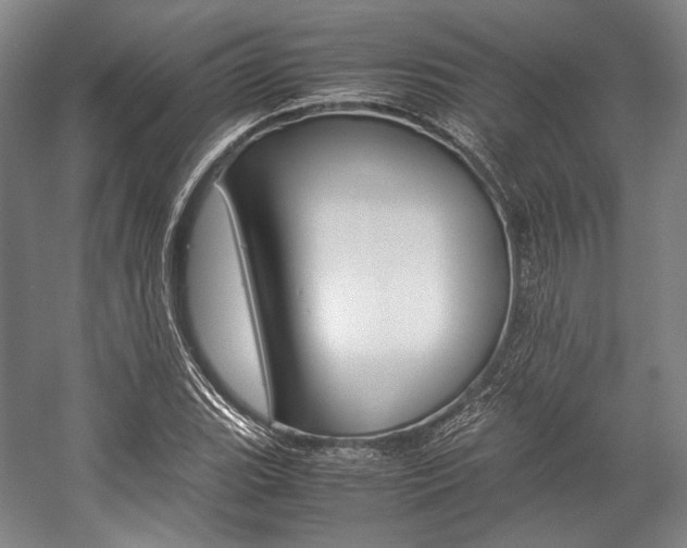 X0000057081119200509090905