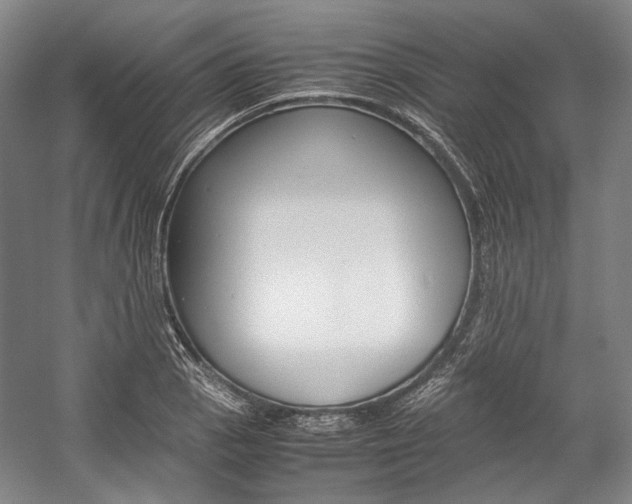 X0000057081129200509090906