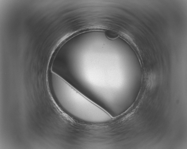 X0000057081133200509090906