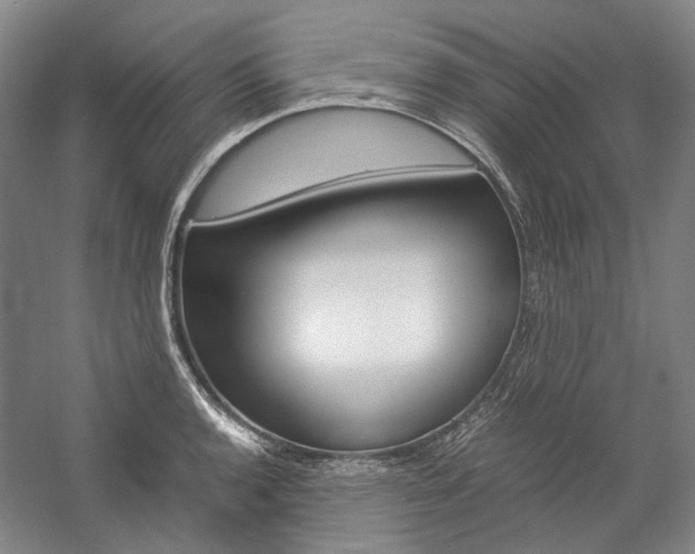 X0000057081136200509090906