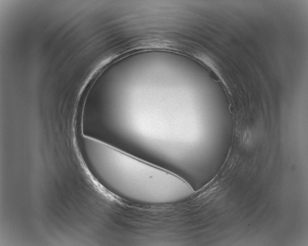 X0000057081139200509090906