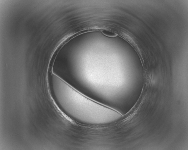 X0000057081141200509090906
