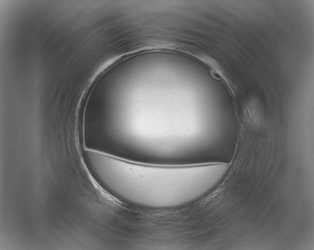 X0000057081143200509090906