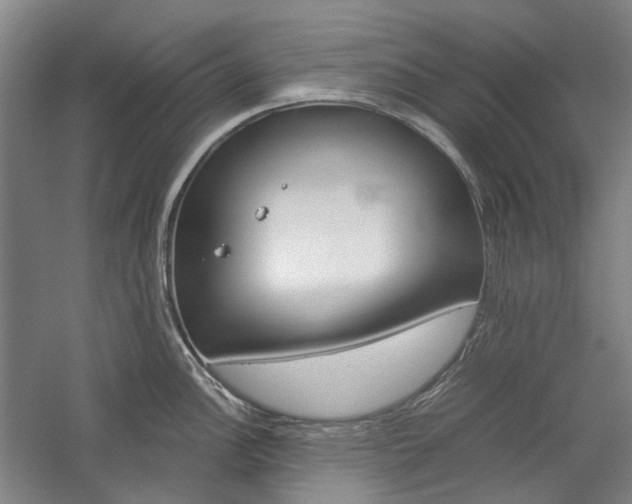 X0000057081148200509090906