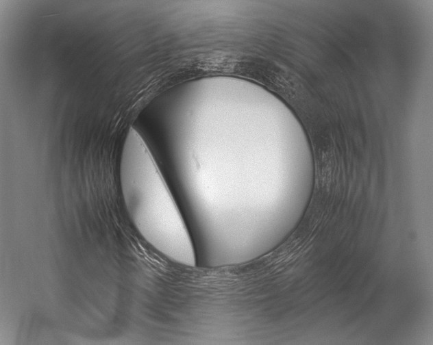 X0000057081154200509090905
