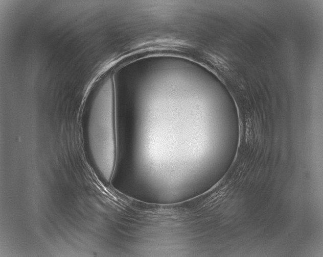 X0000057081164200509090905