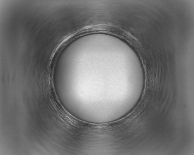 X0000057081166200509090905