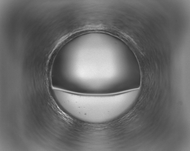 X0000057081168200509090905