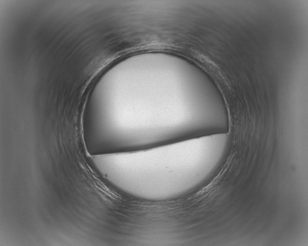 X0000057081170200509090905