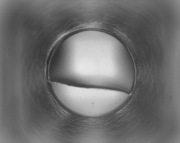 X0000057081174200509090905